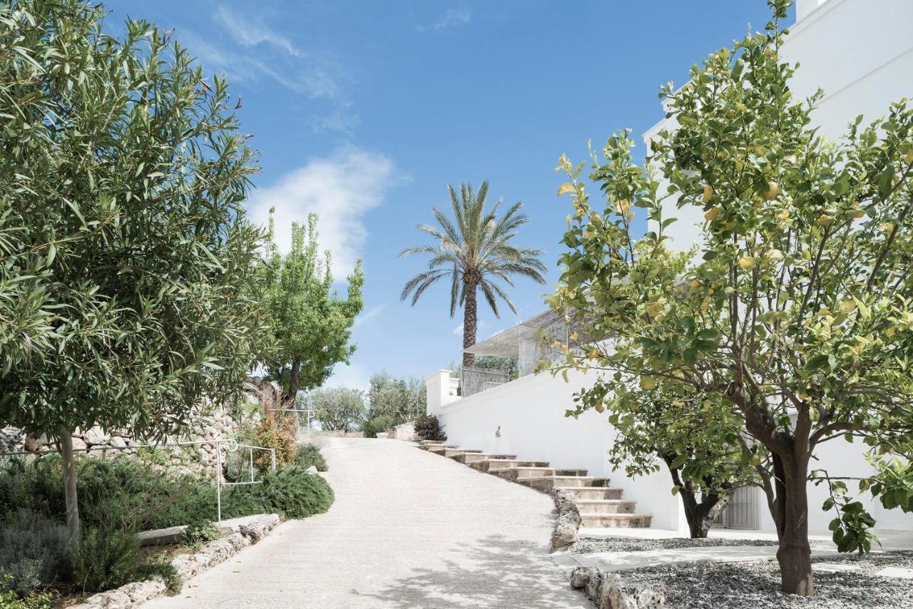 Masseria Alchimia ファザーノ エクステリア 写真